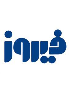 قرص کارتیژن دی مکس نیچرز اونلی 30 عددی - Image 2