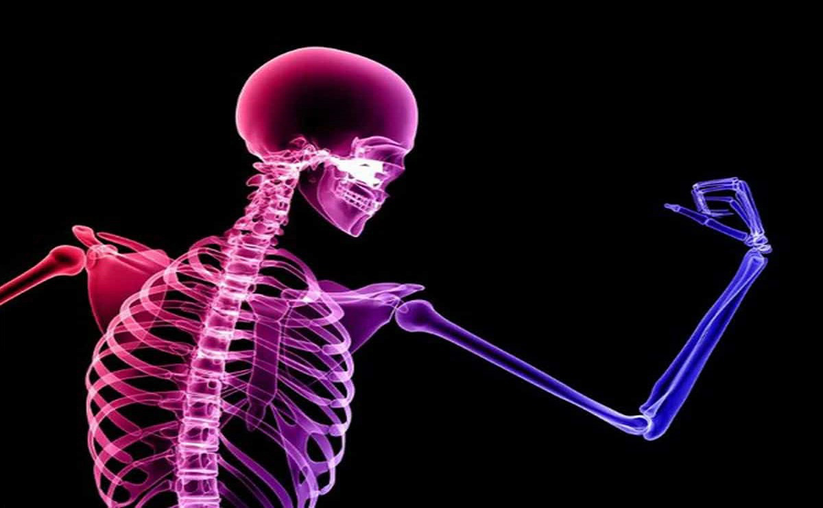 ویژگی ها و مشخصات فنی مکمل استئوکینون